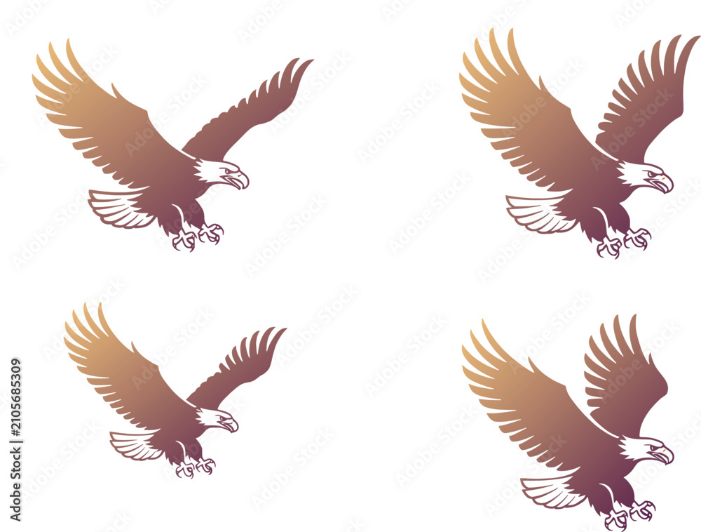 Obraz premium Set of four flying bald eagle illustrations in a flat artistic graphic design style