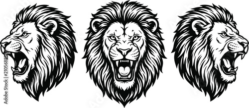 Foto Fierce Lion Head Mascot Collection