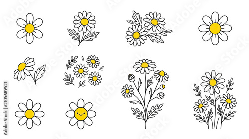 Hand-drawn daisy illustrations with simple outlines