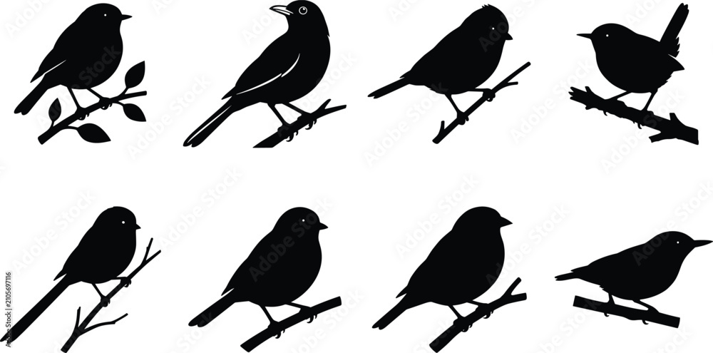 Fototapeta premium Vector set of black bird silhouettes perched on branches for nature and wildlife design projects.