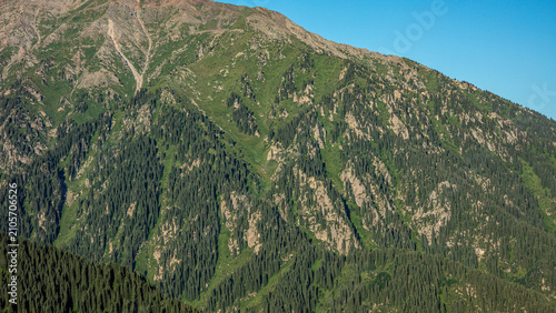 green grass in the mountains