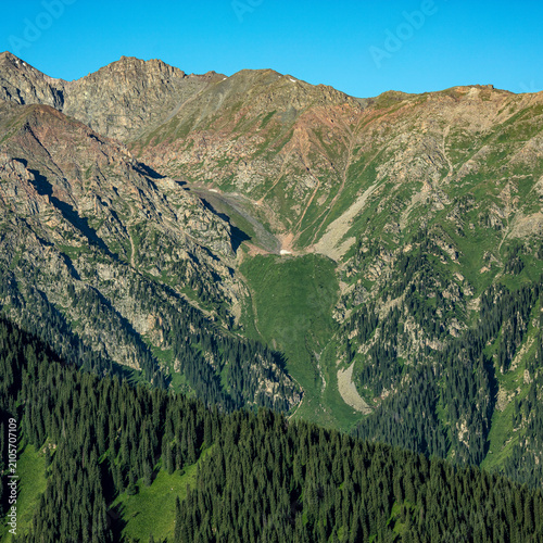 mountain road in the mountains