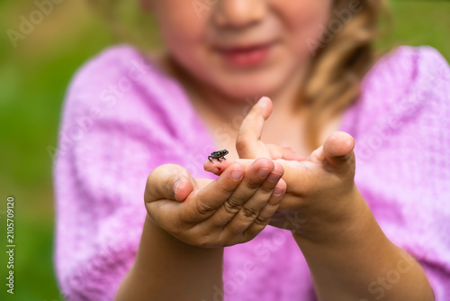 Photos A little girl in a light blue sweater looking tenderly at a very small frog on her finger