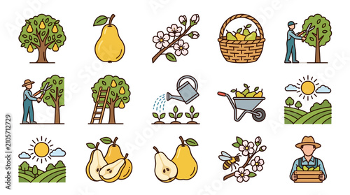 Canvastavla Modern Colorful Illustrated Guide to Pear Orchard Farming and Harvesting Process