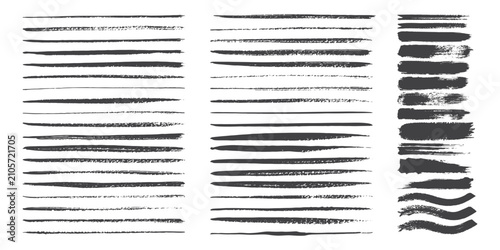 Photos Beautiful Brushes vector collection