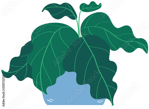 doodle nature tree indoor