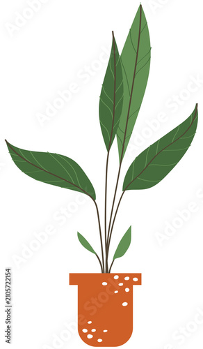 doodle nature tree indoor