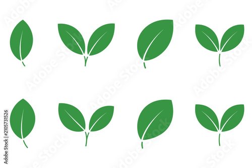 Green leaf shapes, botanical nature symbols, organic foliage elements