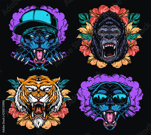 Photography Wild animals in bold styles