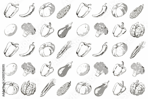 Fotografie Monochrome Hand drawn Illustration Of Various Vegetables And Produce On A White