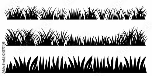 Obraz na płótnie Black and white silhouettes of various grass blades against a white background b