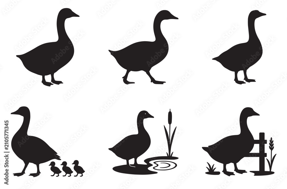 Obraz premium Silhouettes of geese and goslings in various poses and settings
