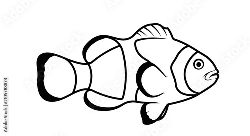 Bild auf Leinwand Line art illustration of a clownfish with distinctive bold outlines and detailed