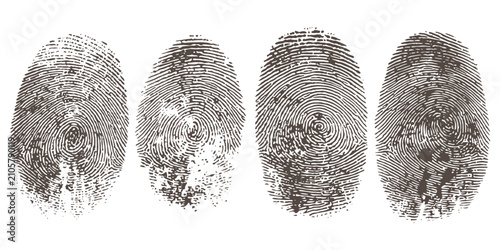 Cuadro en lienzo Set of four brown distressed human fingerprint textures representing biometric security and personal identity vector illustration