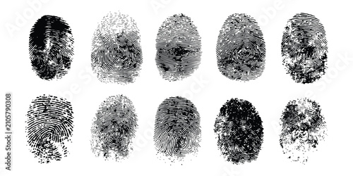 Obraz na płótnie Collection of ten black grunge human fingerprints showing detailed biometric thumbprint textures and patterns vector illustration