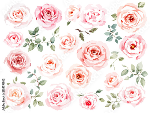 seamless pattern of roses