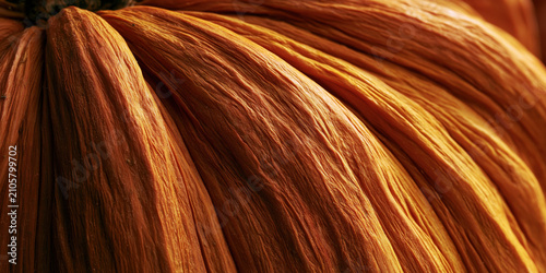 Close-up view of golden-brown fur with sunlight highlights