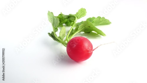 Red Radish rotating on white background isolated