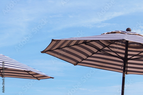 beach umbrella on the beach