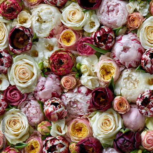 Assorted colorful roses and peonies arranged in a flat lay composition, showcasing various shades of pink, white, and red flowers on a light background