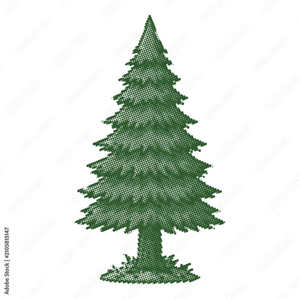 Fototapeta premium Vintage evergreen pine tree vector illustration, classic green spruce conifer isolated on white, retro botanical fir tree for outdoor branding