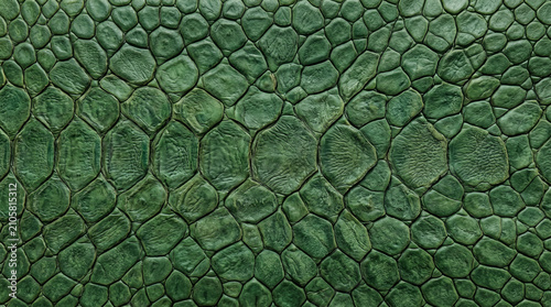 Macro view of detailed green reptile scales texture forming a natural pattern