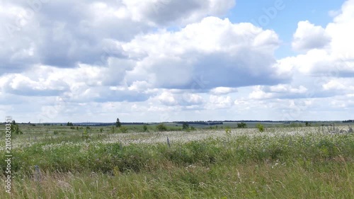 Panorama of rural landscape. Sunny summer day