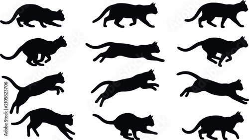 Canvas Print Set of black cat silhouettes in various movement poses including running jumping