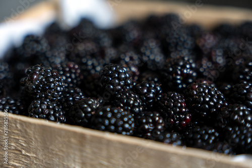 Canvastavla A high-angle, close-up shot of a rustic wooden crate filled to the brim with fresh, ripe boysenberries