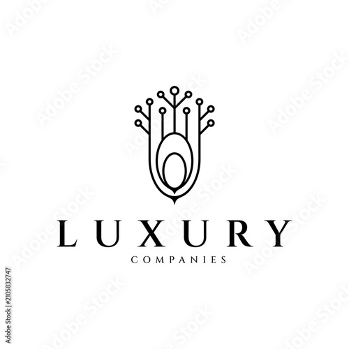 Abstract peacock feather logo in luxury line design concept