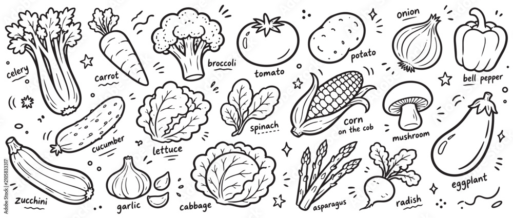 Fototapeta premium Collection of various hand-drawn vegetables in a playful doodle style, featuring outlines of healthy produce on a white background