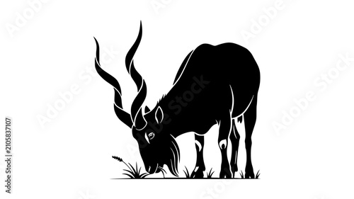 Canvas Print Black silhouette of a markhor goat with large twisted horns grazing on grass sil
