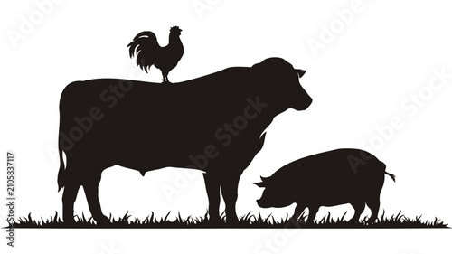 Cuadro en lienzo Silhouette illustration of a cow a pig a chicken standing on grass against a whi