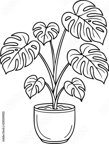 Potted monstera plant with large split leaves, simple black and white line drawing, monstera