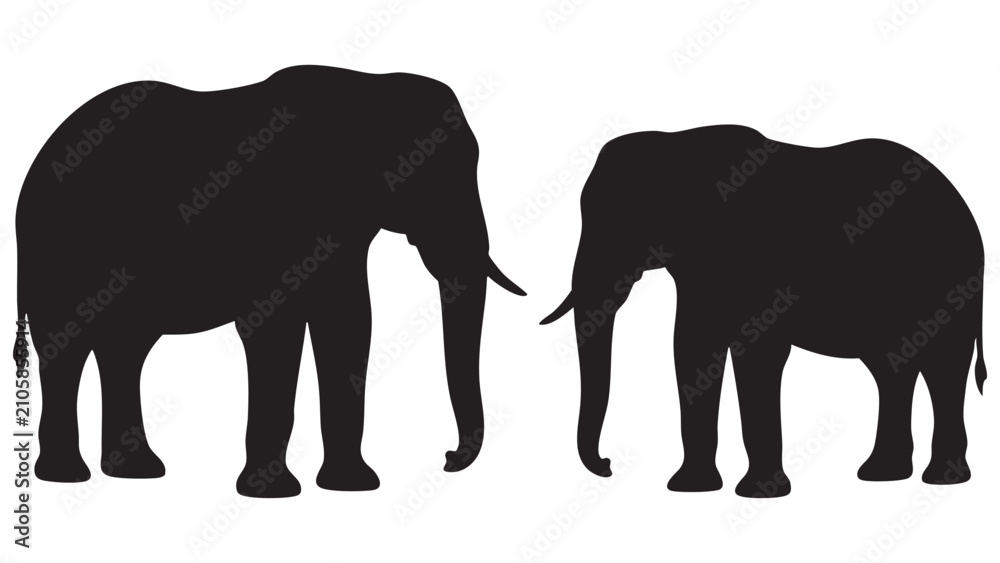 Fototapeta premium Elephant silhouettes against a white background a mother and calf depiction
