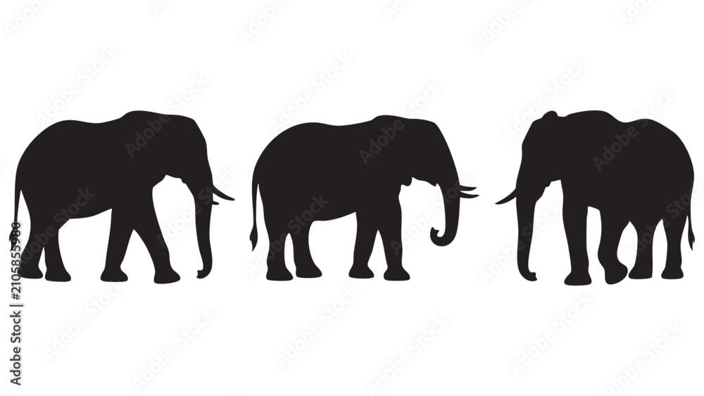 Fototapeta premium Elephant silhouettes against a white background a trio of african wildlife shapes