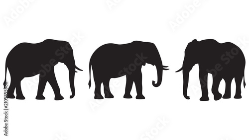 Obraz na płótnie Elephant silhouettes against a white background a trio of african wildlife shape