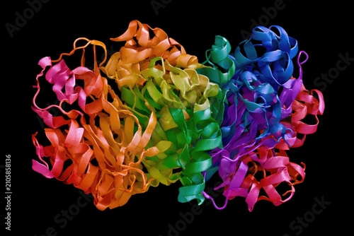Complex, colorful protein structure, ribbon model, against black