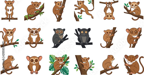 Vector set of cute tarsier icons and slow loris character poses in flat design style