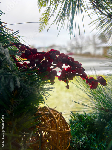Holly berries on a wreath, viewed through a glass door.
