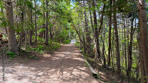 A walking trail in the woods on a sunny summer day. Mount Pearl, Newfoundland & Labrador.