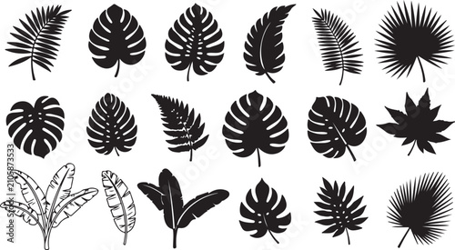 A vector collection of black tropical leaf silhouettes featuring monstera, palm fronds, banana leaves, and ferns isolated on a white background.