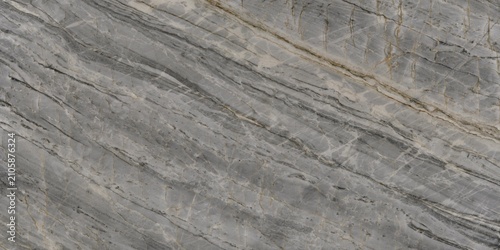 Принти на полотні Diagonal Striped Graphite Gneiss Plate with Quartzite Veining