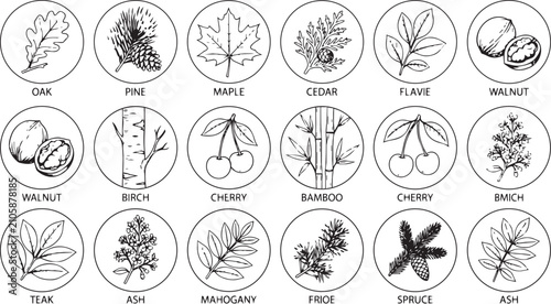 Black and white tree leaf and nut illustrations collection