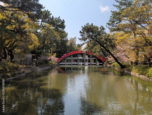 Sumiyoshi Taisha Red Arch Bridge Osaka Spring