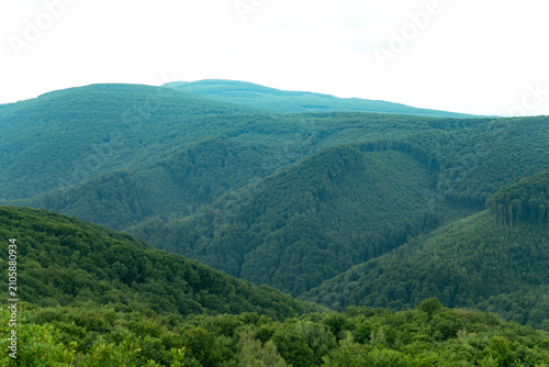 Panoramic scenic view of endless lush green hills covered with dense forest and woods under a bright summer sky.