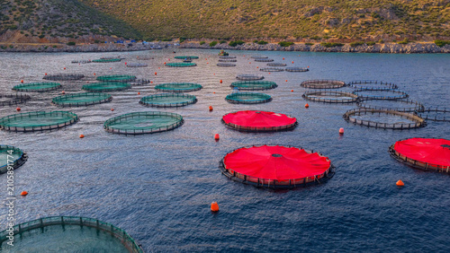 Фотография Aquaculture fish farm operating in a bay, featuring numerous circular cages with