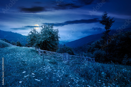 rural mountain landscape of ukraine at night. countryside scenery of transcarpathia in summer. forested hills and grassy meadows under dark sky in full moon light