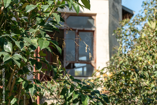 Fotografie An abandoned overgrown hotel braided with beautiful flowering plants