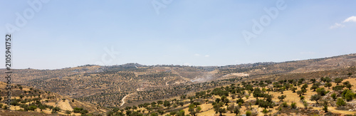 Φωτογραφία Panoramic wide shot of an extensive arid valley with terraced hillsides and clusters of green olive trees